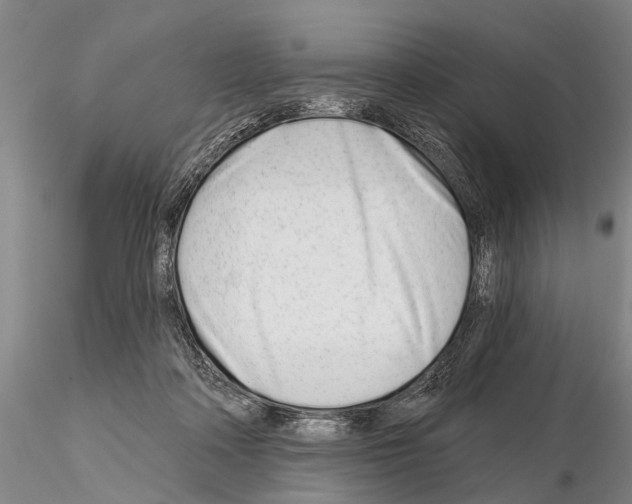 X0000115010314200912071210