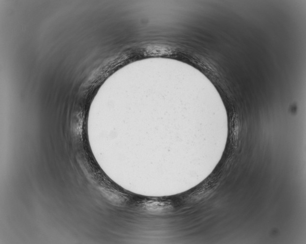 X0000115010315200912071210