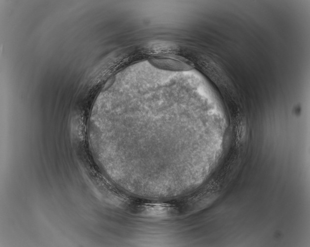 X0000115010316200912071210