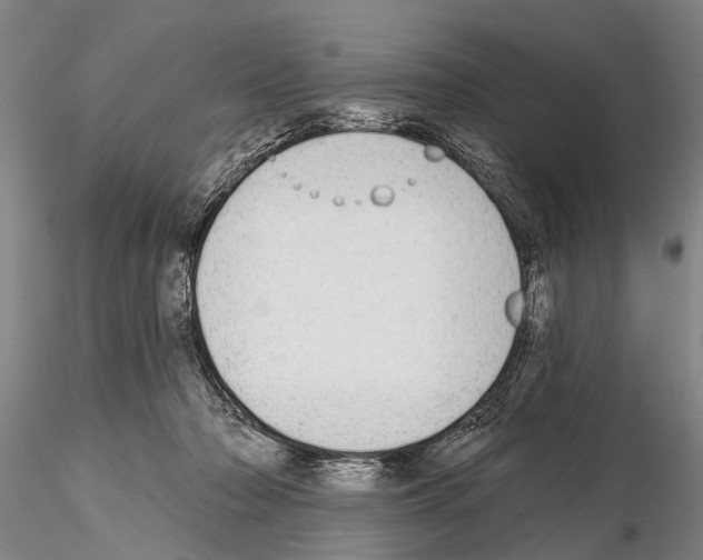 X0000115010318200912071210