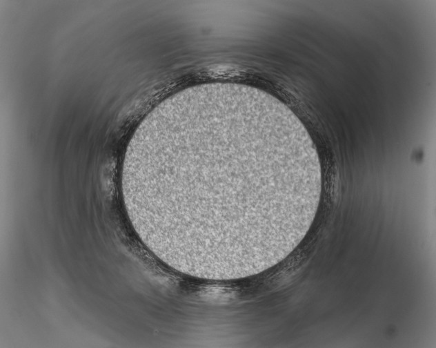 X0000115010319200912071210