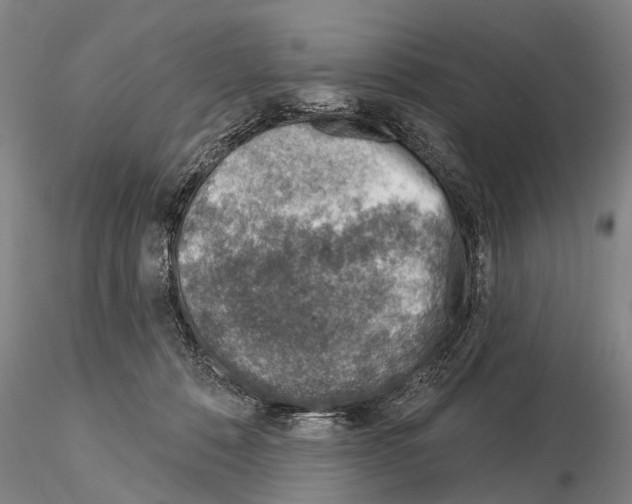 X0000115010320200912071210