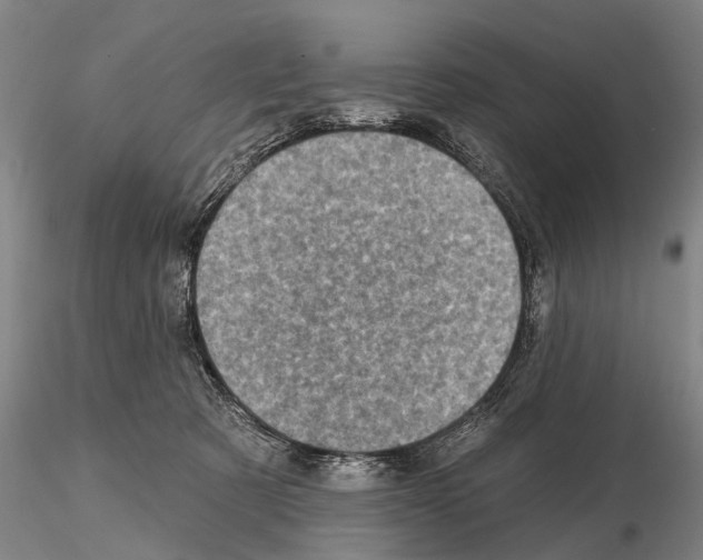 X0000115010321200912071210