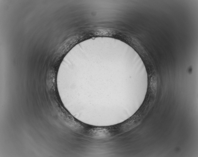 X0000115010322200912071210