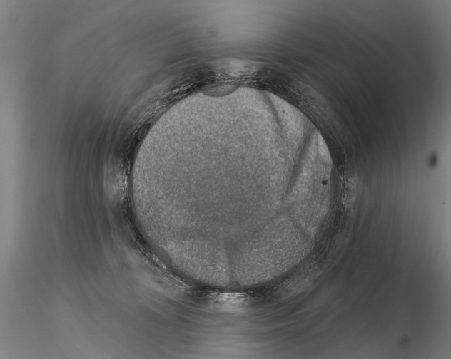 X0000115010324200912071210