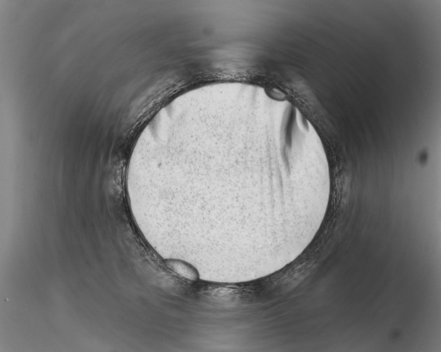 X0000115010325200912071210