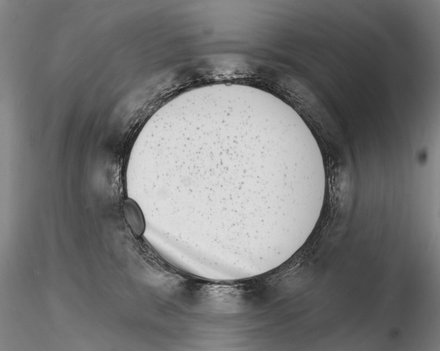 X0000115010327200912071210