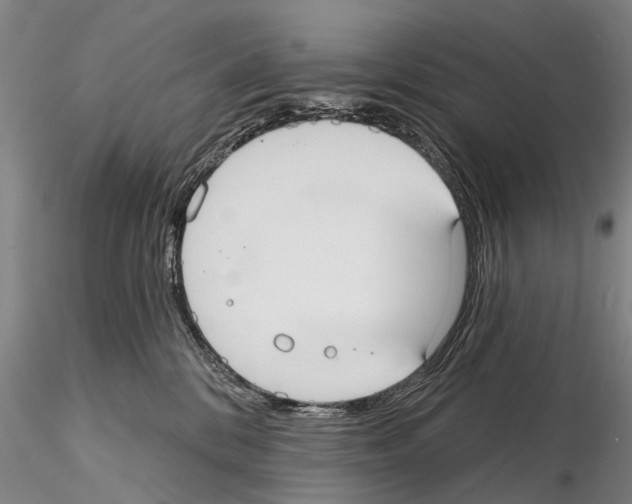 X0000115010328200912071210