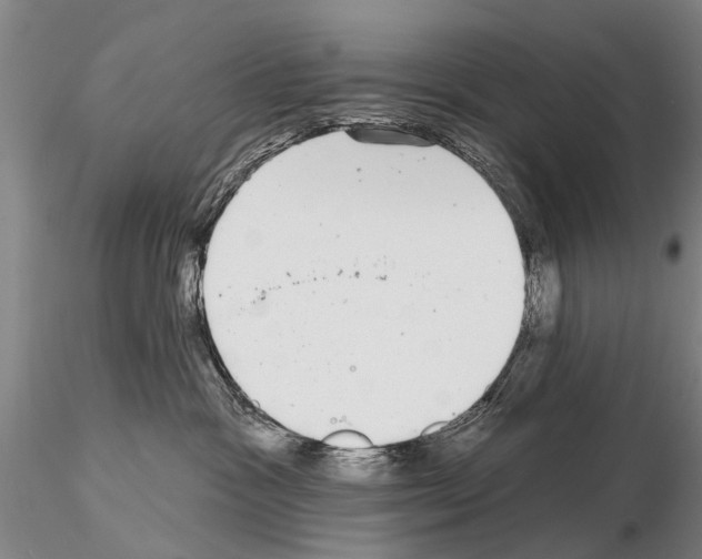 X0000115010333200912071210