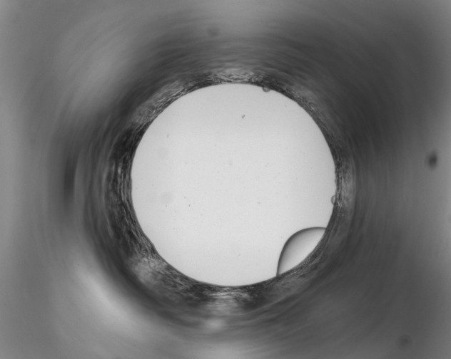 X0000115010334200912071210