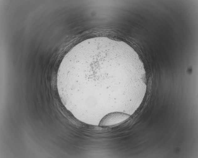 X0000115010335200912071210