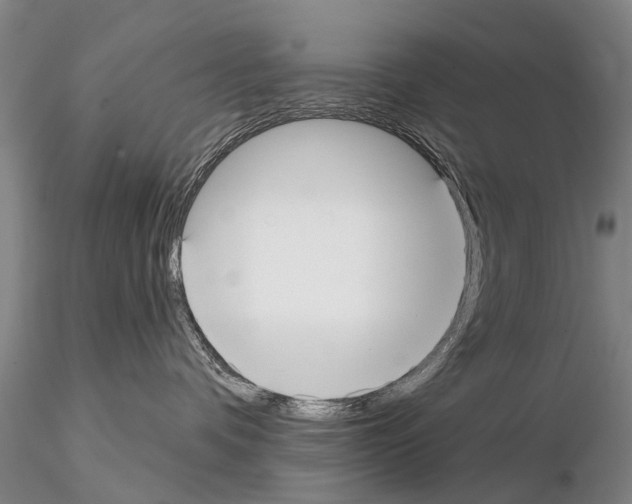 X0000115010336200912071210