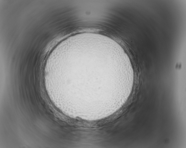 X0000115010337200912071209