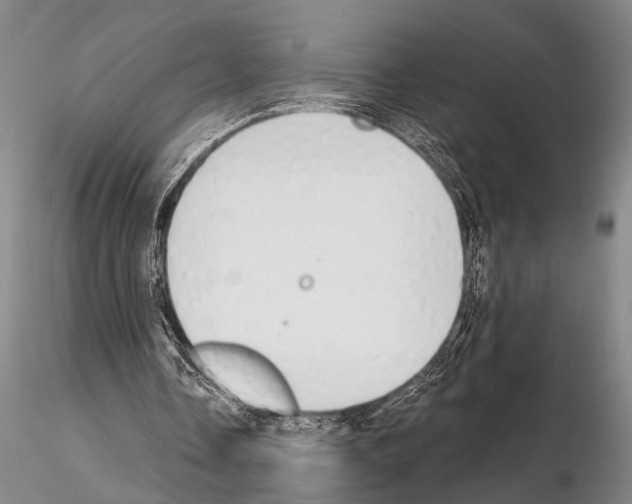 X0000115010338200912071209