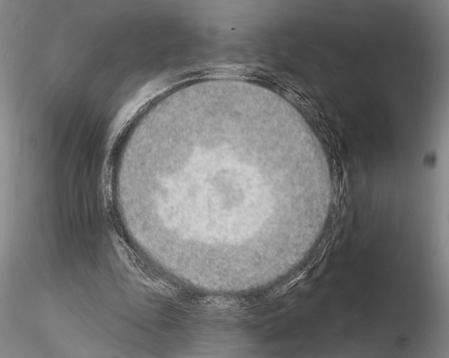 X0000115010343200912071209