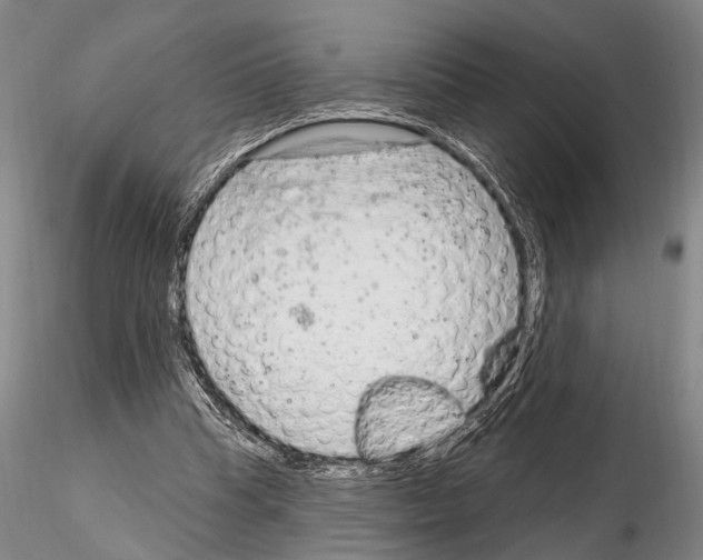 X0000115010345200912071209