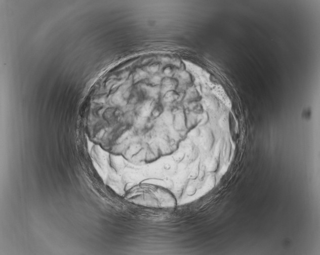 X0000115010346200912071209