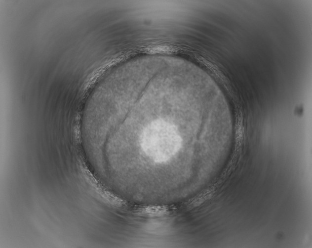 X0000115010353200912071209