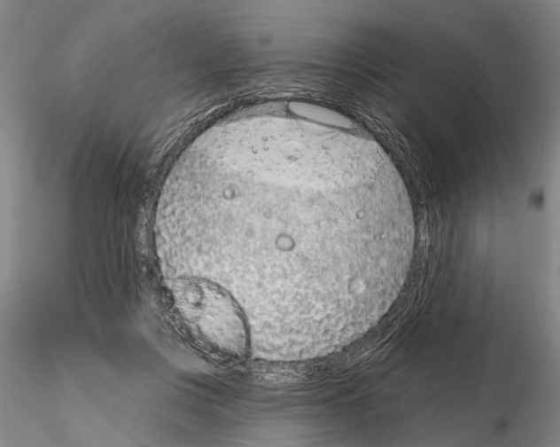 X0000115010359200912071209