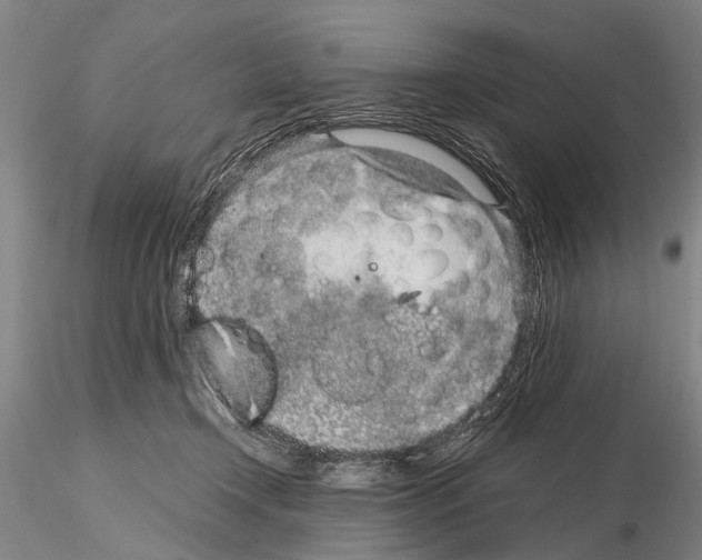 X0000115010366200912071209