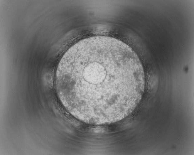 X0000115010370200912071209