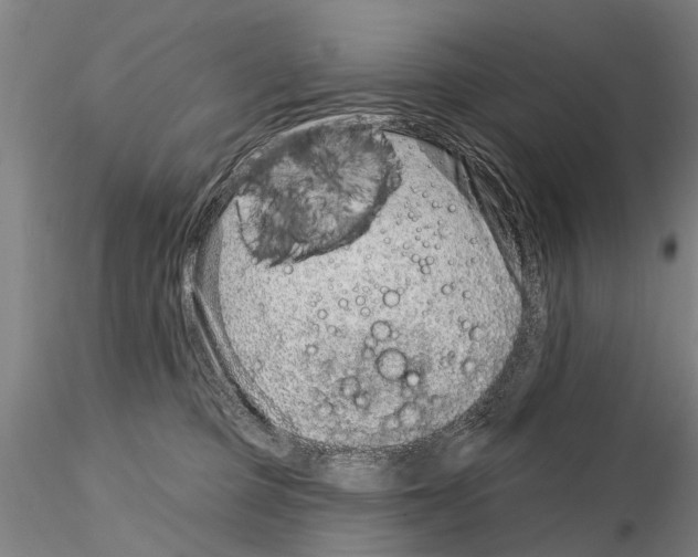 X0000115010373200912071209