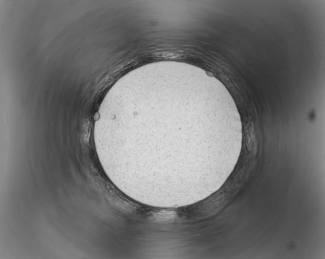 X0000115010374200912071209