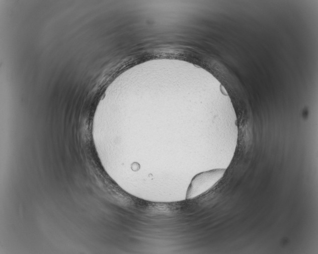 X0000115010381200912071210