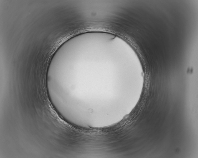 X0000115010385200912071209