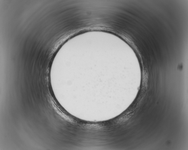 X0000115010389200912071209