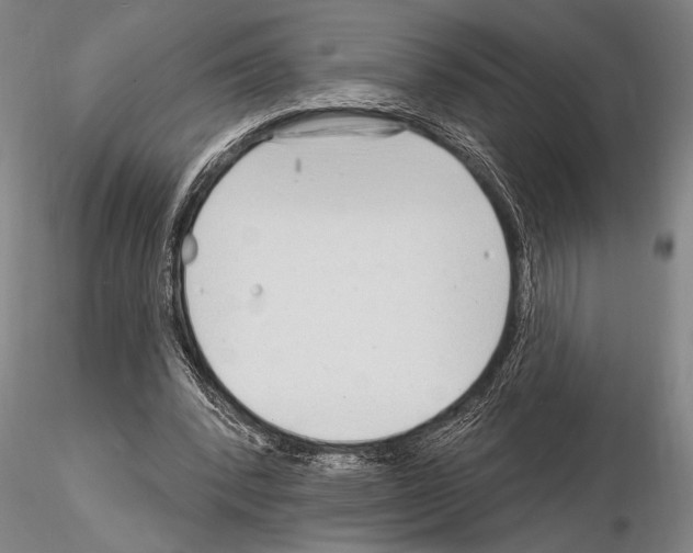 X0000115010392200912071209