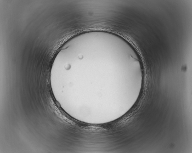 X0000115010393200912071209