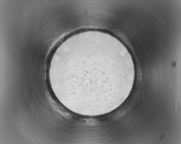 X0000115010395200912071209