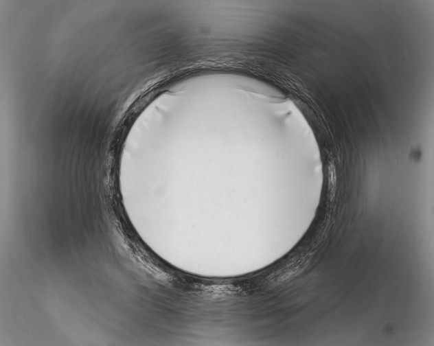 X0000115010396200912071209