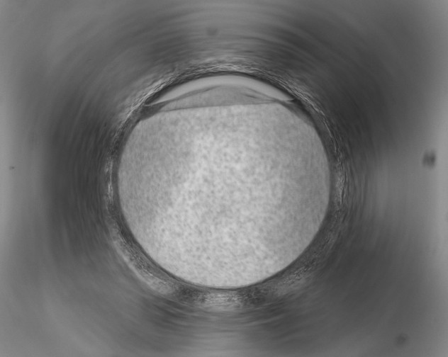 X0000115010398200912071209