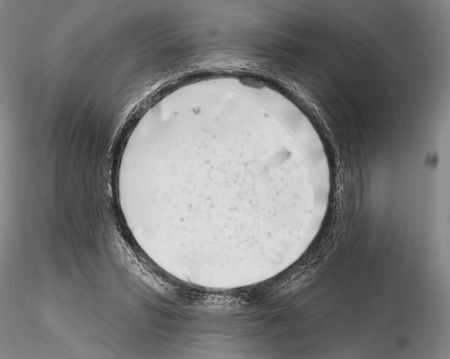 X0000115010399200912071209