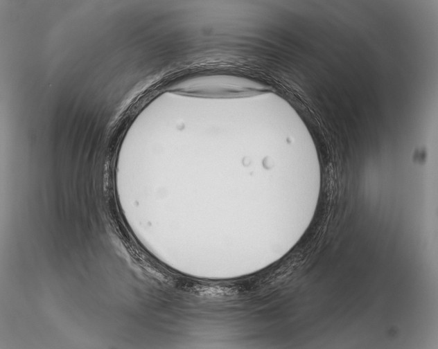 X0000115010400200912071209