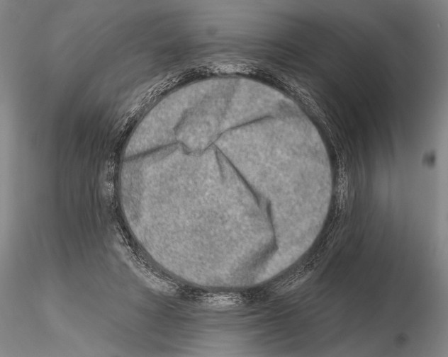 X0000115010402200912071209