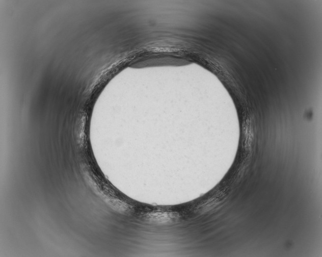 X0000115010404200912071209