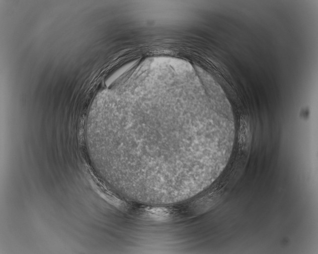 X0000115010409200912071209