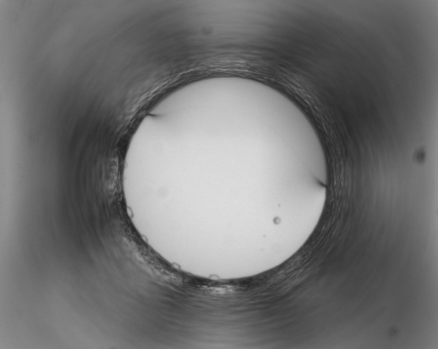 X0000115010411200912071209