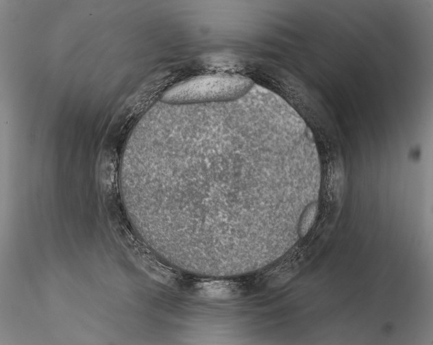 X0000115010417200912071208
