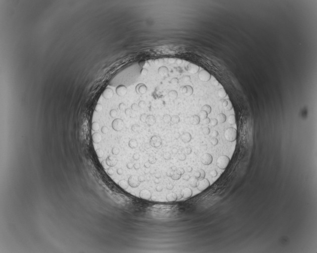 X0000115010418200912071208