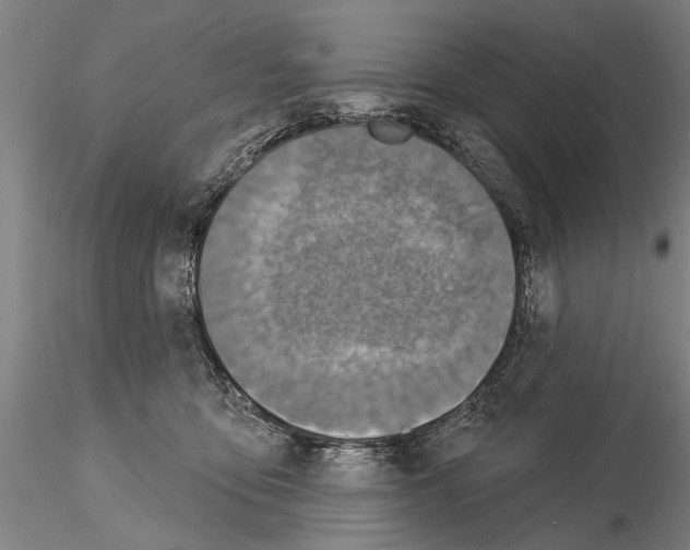 X0000115010419200912071208