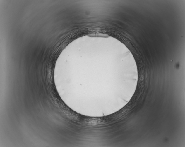 X0000115010420200912071208