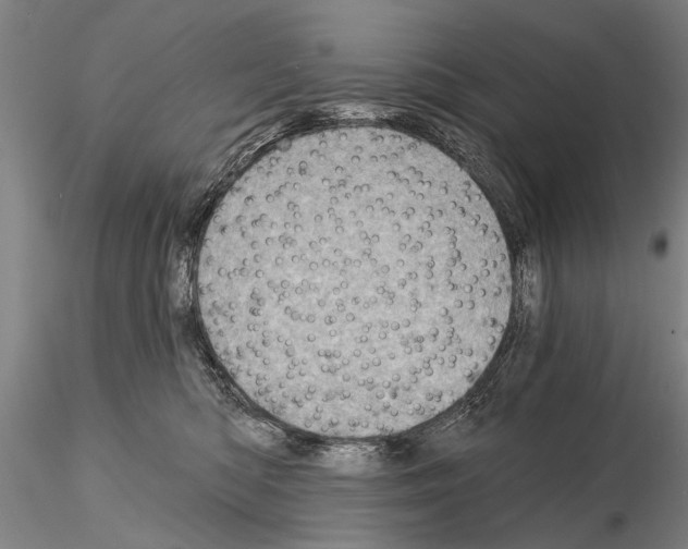 X0000115010422200912071208