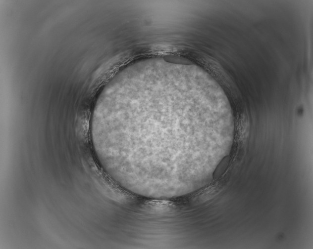 X0000115010427200912071208