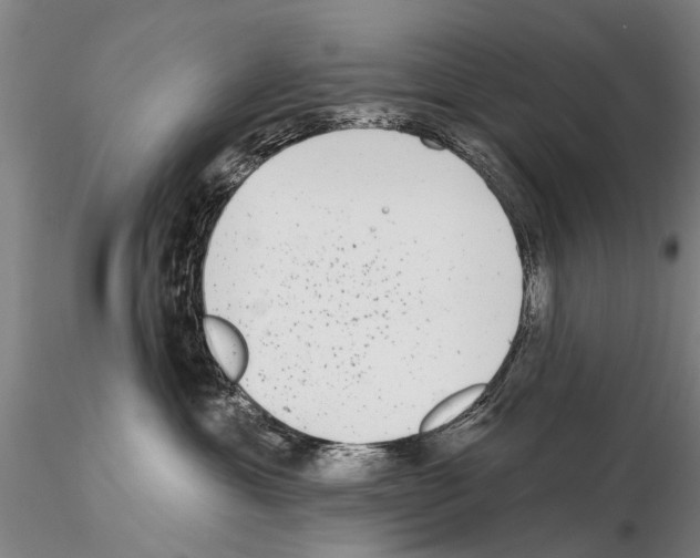 X0000115010429200912071208