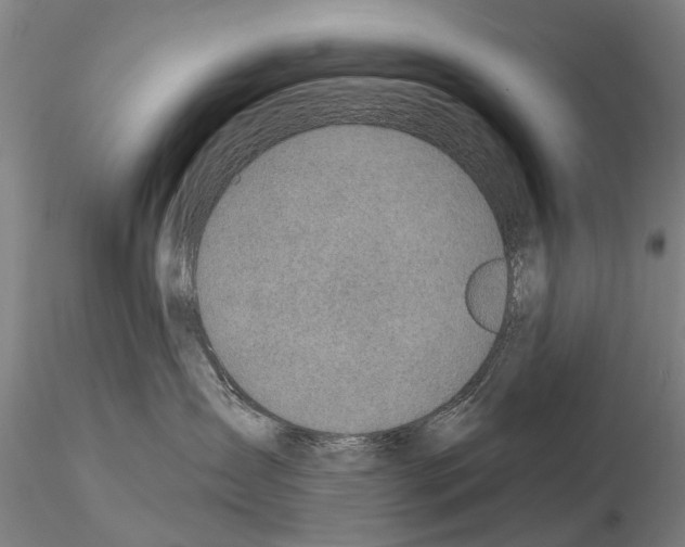 X0000115010431200912071208