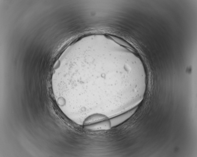 X0000115010434200912071208
